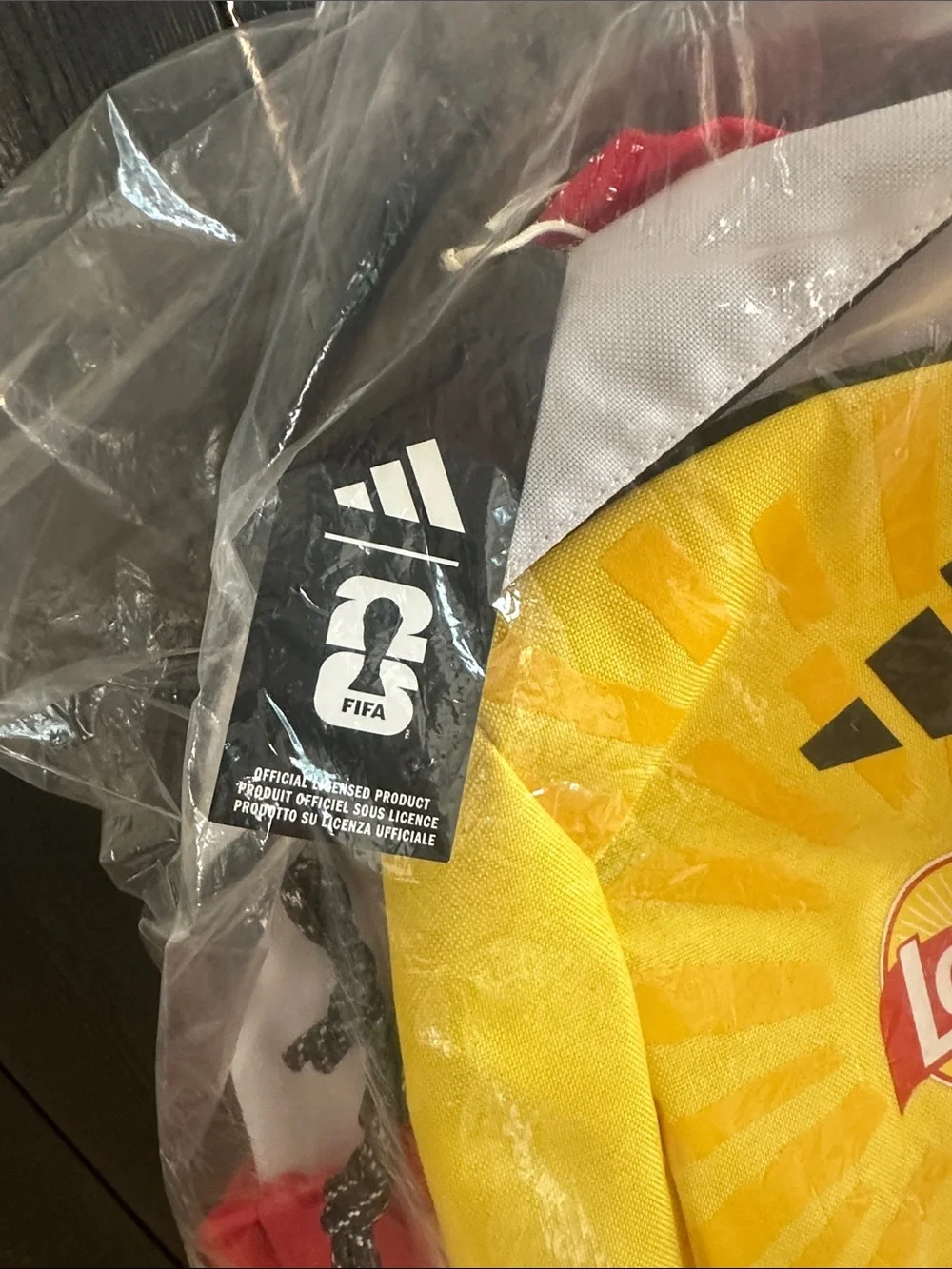Official FIFA World Cup Adidas Lays Backpack.